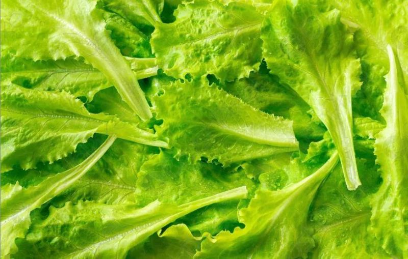 Water Spray Vegetables Lettuce Broccoli Leek Vegetable Bubble Washing Machine