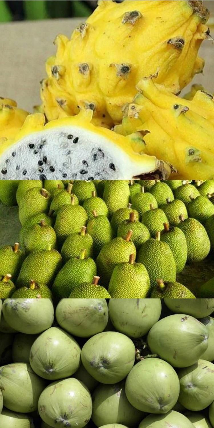 Yellow Pitahaya Jackfruit Coconut Bubble Automatic Cleaning Washing Machine
