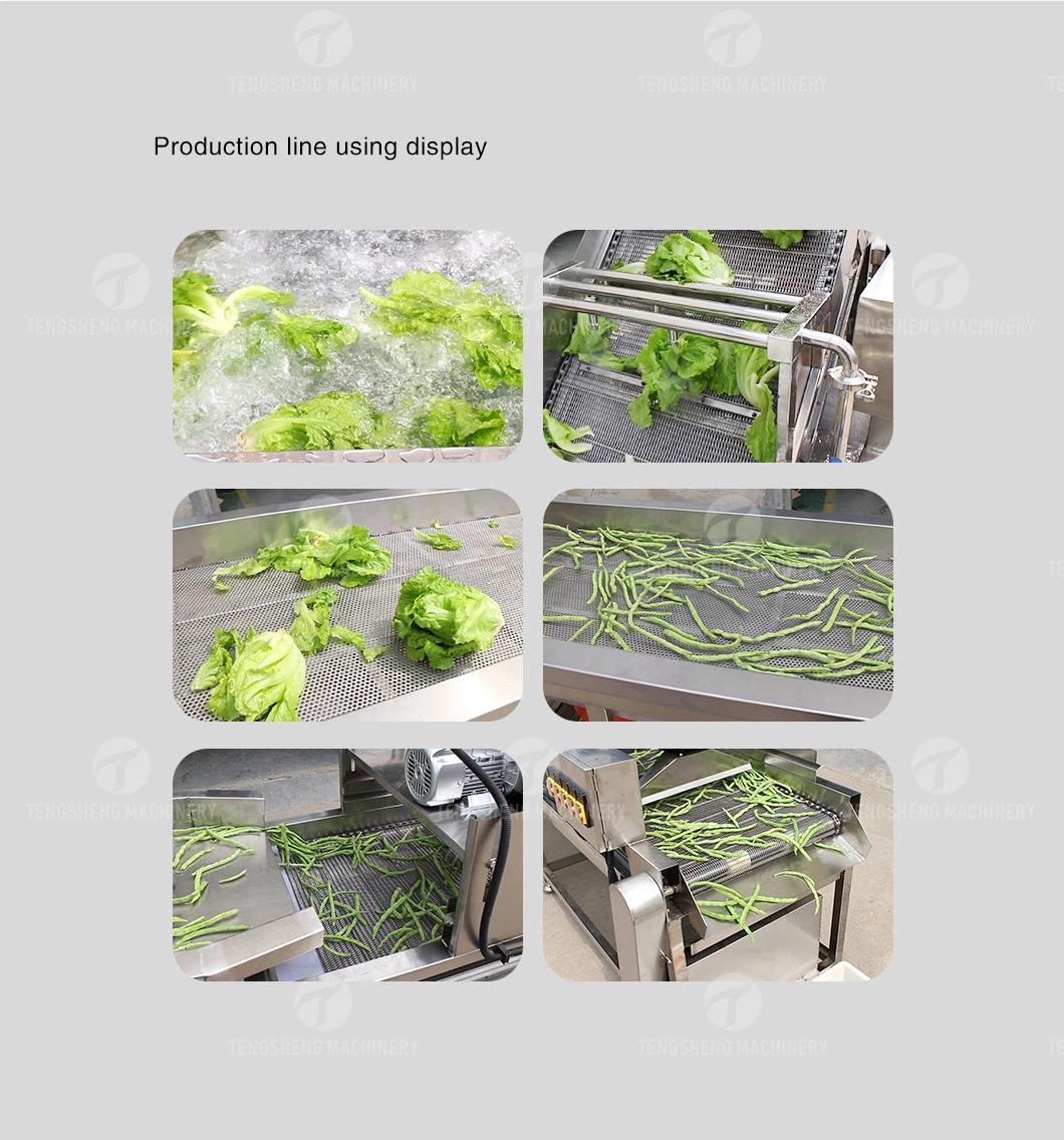 Multifunctional Food Processing Machine Fruit Vegetable Washing Washer Carob Tomato Cleaner Bubble Cleaning Vibration Drying Production Line Food Processor