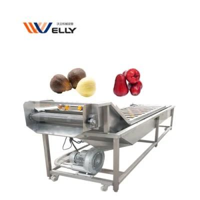 Save Water Small Potato Orange Washing Apple Cleaning Machine for Salad Industry