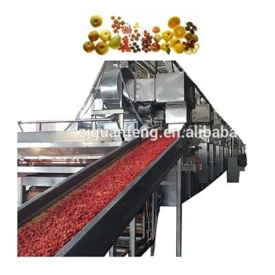 Hot Sale Belt Drying Equipment for Big Production Capacity