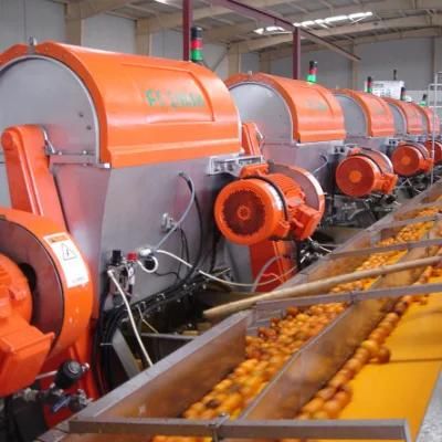 Complete Fruit Orange Juice and Oil Processing Plant/ Orange Juice and Oil Machine ...