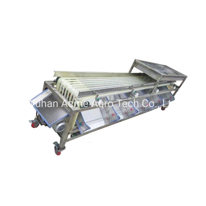 Automatic Dates Sorting Machine