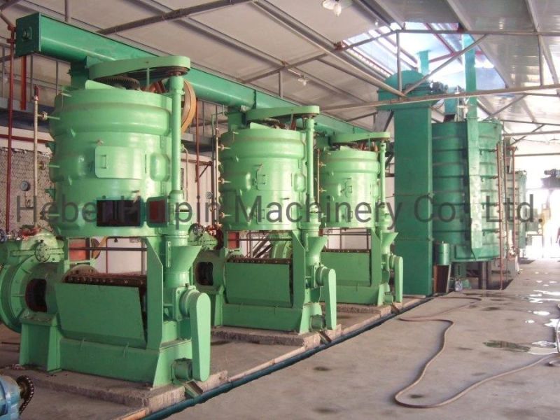 Popular Commercial Oilseed Crushing Machinery Oil Expeller Press Machine