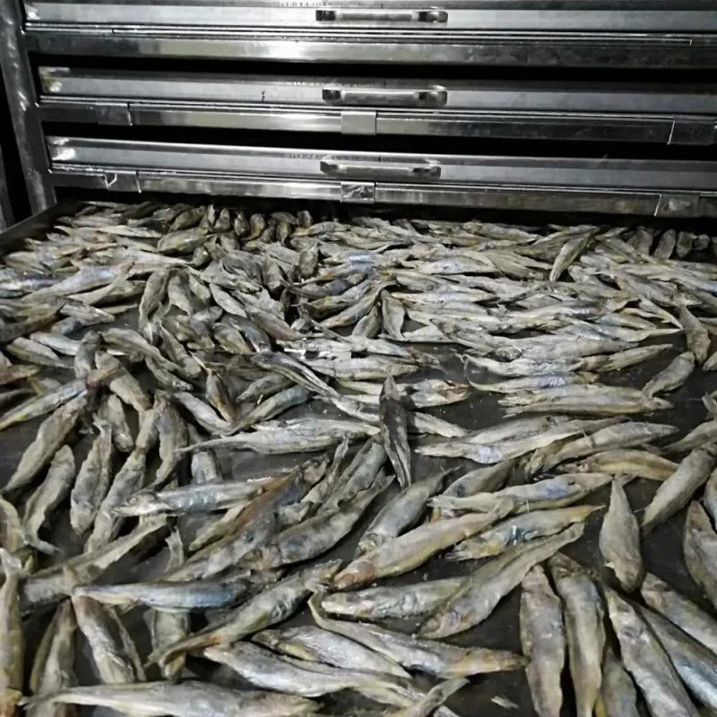 Seafood Freeze Dryer Machine Vacuum Dried Fish Lyophilizer