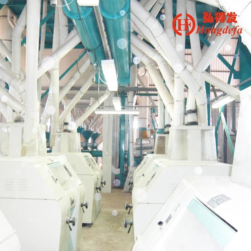 Africa Market of 100t/24h Fine Maize Flour Milling Machine in 2020