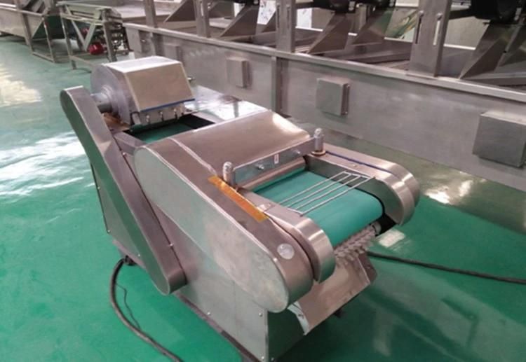 China Low Price Vegetable Dewatering Processing Line