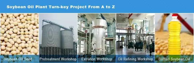 Sunflower Oil Press Line Refinery Line