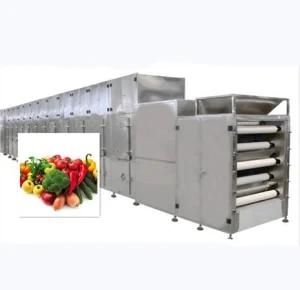 Fruit Vegetable Processing Machine Tunnel Drying Oven Vegetable Dryer Drying Machine