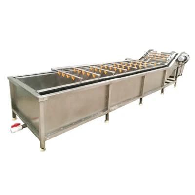 Air Bubble Fruit Vegetable Processing Washing Cleaning Machinery