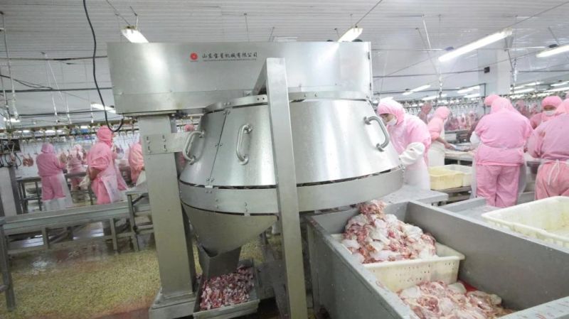 Chicken Thigh Debone Machine for Slaughterhouse or Chicken Processing Line