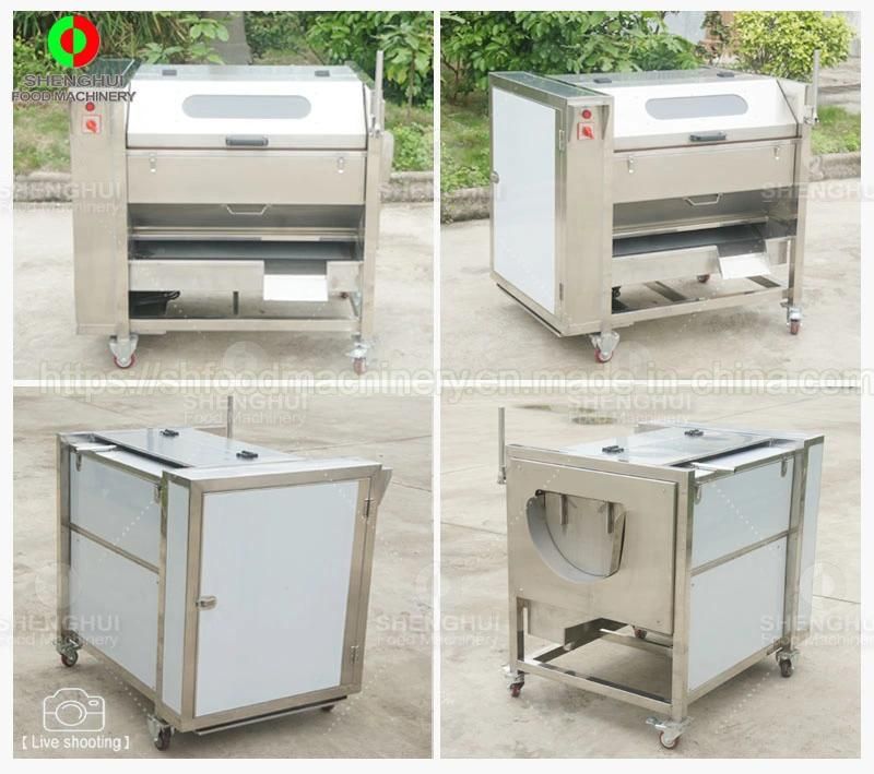 Brush Peanut Washing Machine Taro Peeling Machine Onion Cleaning Machine