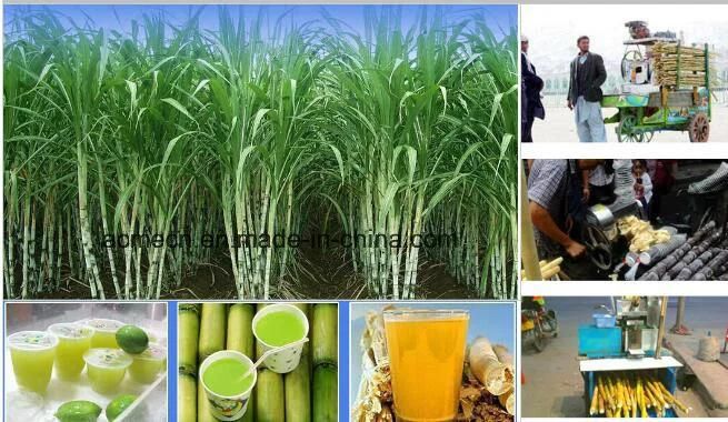 220V Voltage and New Condition Sugarcane Juice Electric Sugar Cane Juicer Machine
