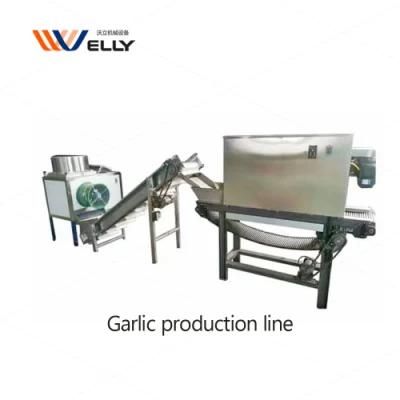 High Productivity Garlic Peeler Machine Production Line Sorted Garlic and Peeling Machine