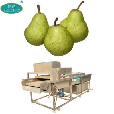 Fruits Washing Cleaning Machine Industry Washing Machine for Pear