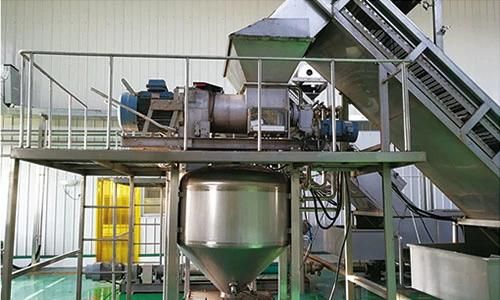 Clear Juice Production Machines From Washing, Juice Pressing to Clarifying Machines