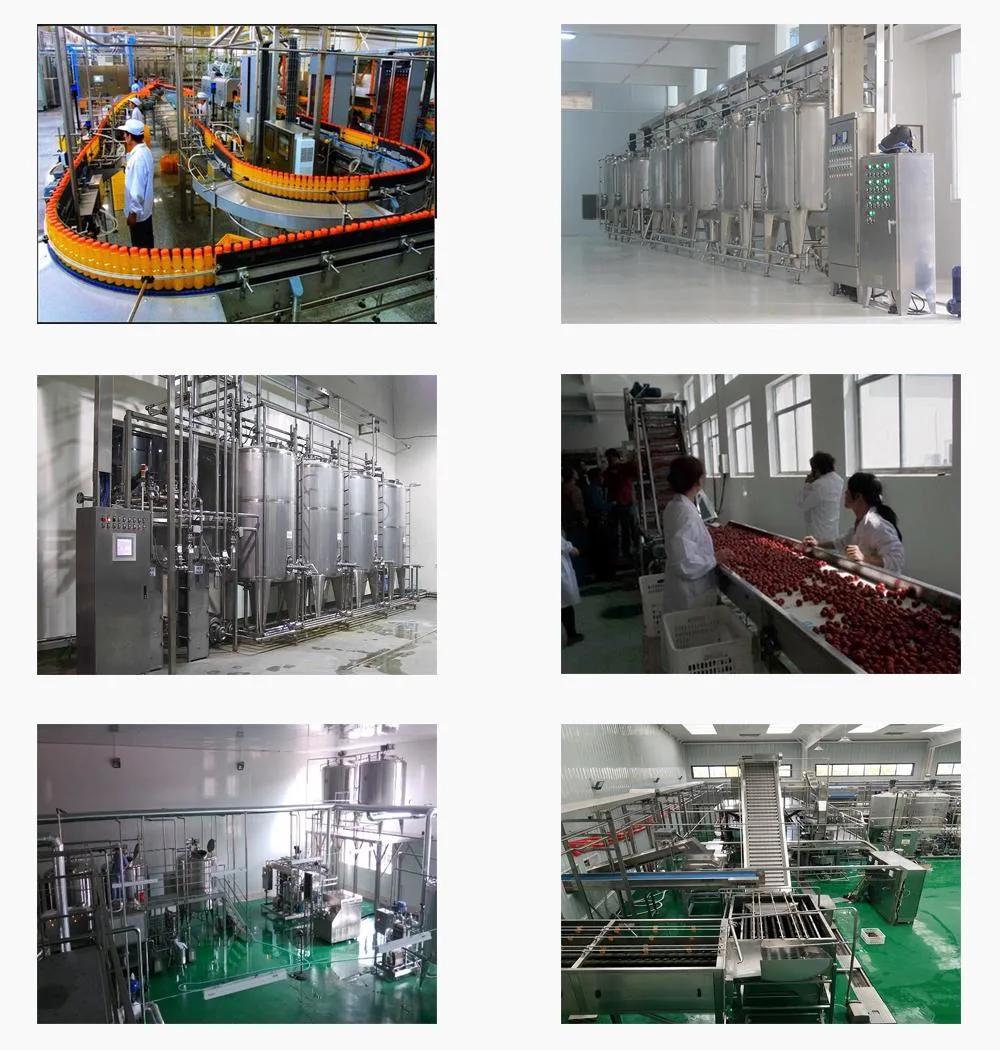 Ws Latest Product Fresh Juice Jam Making Equipment Production Line