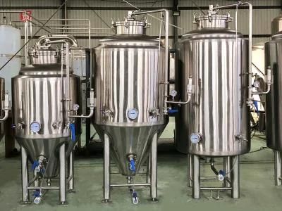 Cassman 300L 500L Beer Fermentation Tanks Micro Brewery Equipment for Sale