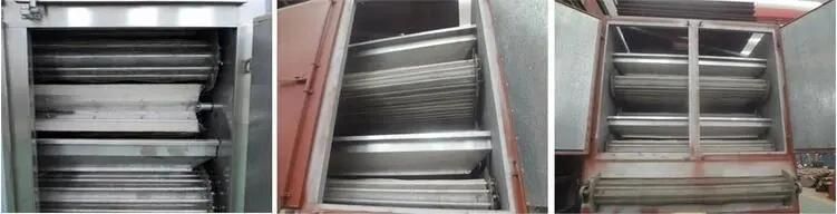 Mesh Belt Fruit Dehydrator Vegetable Drying Machine