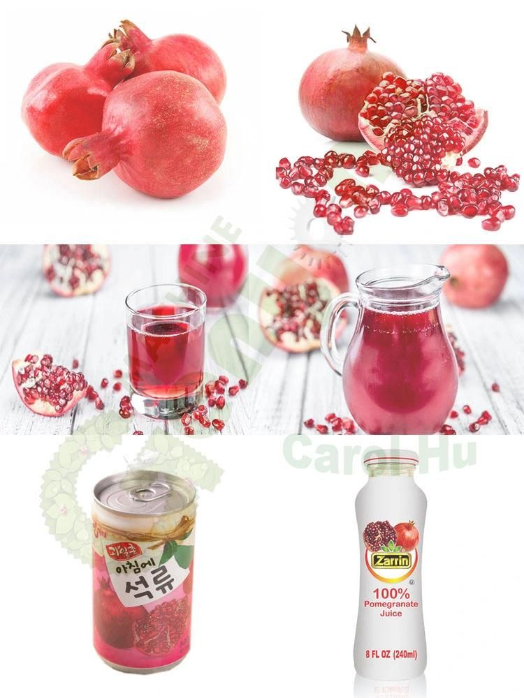 Gyc Concentrated Pomegranate Juice Making Machine with 200L Aseptic Large Bag Filling
