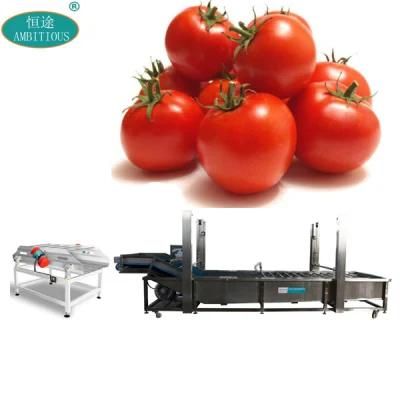 Vegetable Washing Machinery 1000kg Tomato Washing and Drying Machine