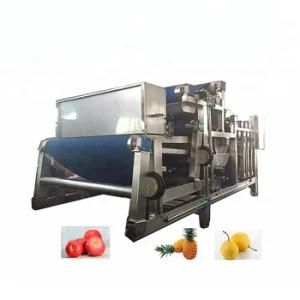 Automatic Strawberry Paste Factory Auto Sauce Processing Line Cheap Price for Sale