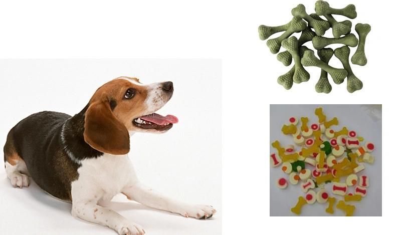 Hot Sale Pet Chew Food Making Machine