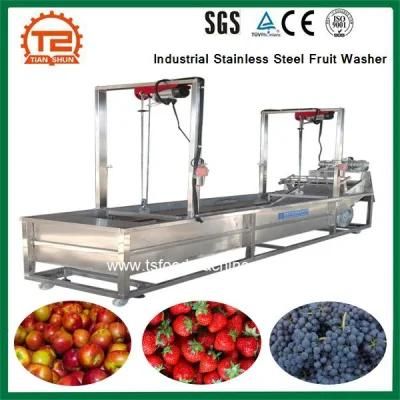 Fruit Washing Machine Industrial Stainless Steel Fruit Washer