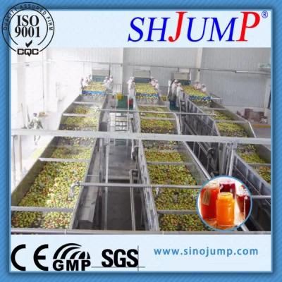 Apple Puree Production Machines for Producing High-Quality Infant Apple Jam