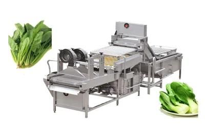 High Capacity Vegetable Fruit Air Bubble Washing Machine