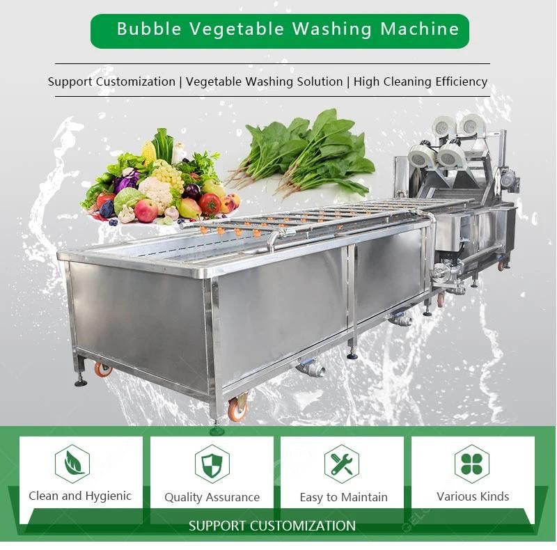 Gelgoog Seaweed Leek Asparagus Fruit and Vegetable Washing Machine with Ozone