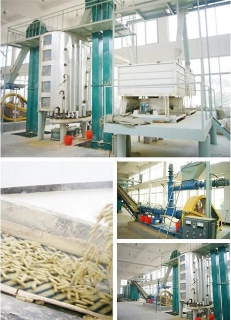 Most Advanced Rice Oil Solvent Extraction Refining and Defatting Line