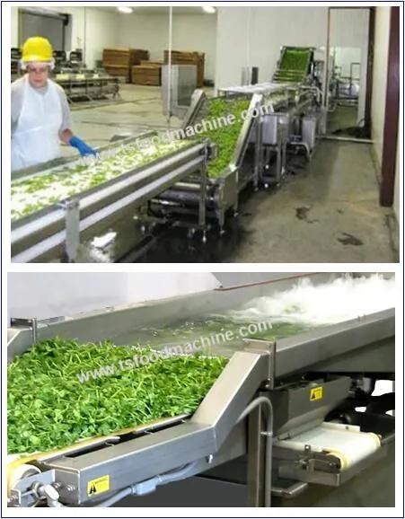 Noni Fruit Vegetable and Fruit Processing Machine