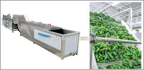Automatic Cucumber Blanching Machine and Vegetable Blanching Machine