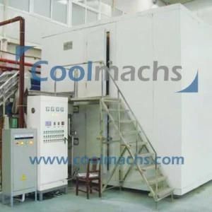 Green Pea/Okra/Potato Quick Freeze Processing IQF Machine Type Industrial Tunnel Freezer