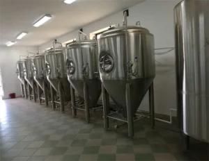 Craft Beer Brewery 300L, 500L, 600L, 800L, 1000L Micro Beer Brewery Equipment