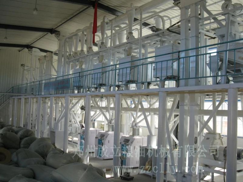 100t/24 Hrs High Quality Maize Milling Processing Plant