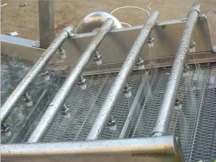 Air Bubble Fruit Vegetable Processing Washing Cleaning Machinery
