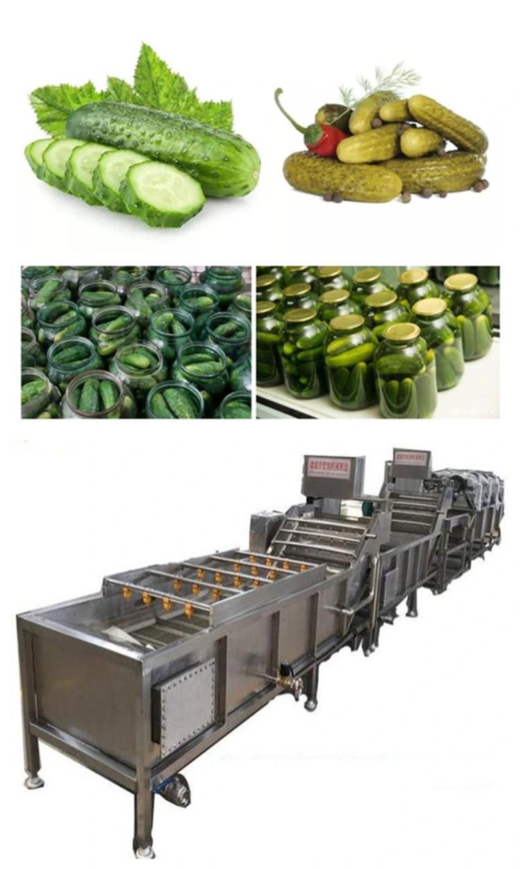 High Efficiency Cucumber Pickles Production Line