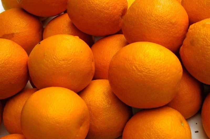 Iudustrial Brush Washing Equipment Fruits Cleaning Citrus Washer Machine