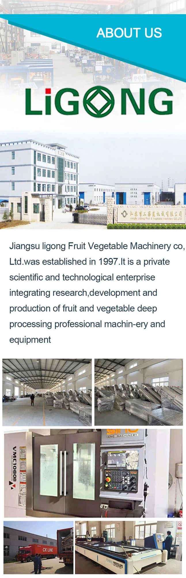 Industrial Fruit and Leaf Vegetable Washing Machine Dates Washer