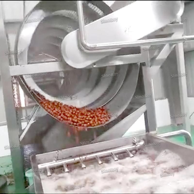 Rosa Roxburghii Processing Line/Rosa Roxburghii Juice Processing Line