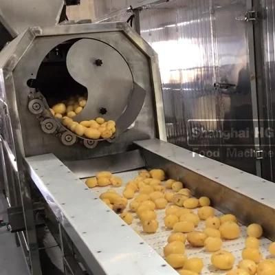 Automatic Frozen French Fries Production Line Potato Chips Fryer Making Frying Snack Food ...
