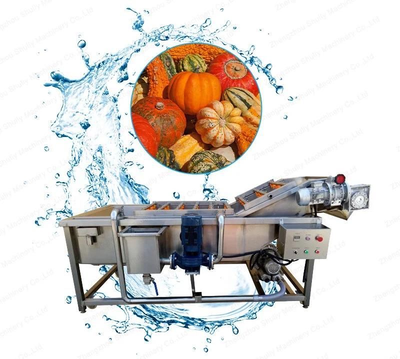 Vegetable Line Washing Fruit Washer Cleaning Processing Machine