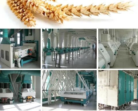 Wheat Milling Machines Low Consumption Best Service Flour Mill