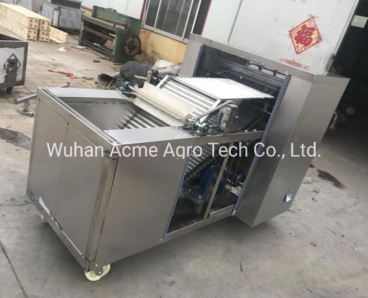 Automatic Jujube Date Core Olive Kernel Pitting Machine