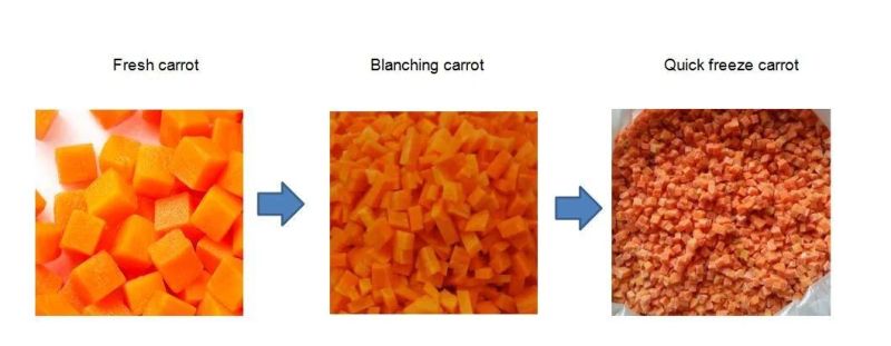 Vannamei Shrimp Blanching Machine Seafood Blanching Machine