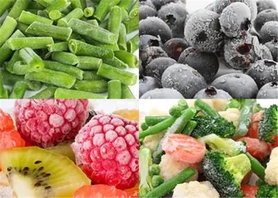 High Capacity Vegetable Fruit Quick Freezing Machine