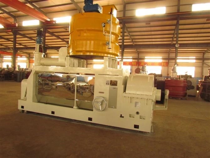 HP290 Corn Germ 130-150 T/D Castor Screw Oil Expeller