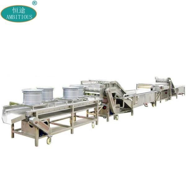 Vegetable Processing Leafy Green Vegetables Bubble Washing Machine with Dryer